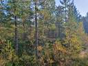 ROVA 889-403-3-82 omakotitalo- ja metsäkiinteistö 24,73 ha AHMASKOSKI n. 15 KM UTAJÄRVEN KK 31