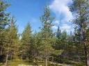 ROVA 889-403-3-82 omakotitalo- ja metsäkiinteistö 24,73 ha AHMASKOSKI n. 15 KM UTAJÄRVEN KK 32