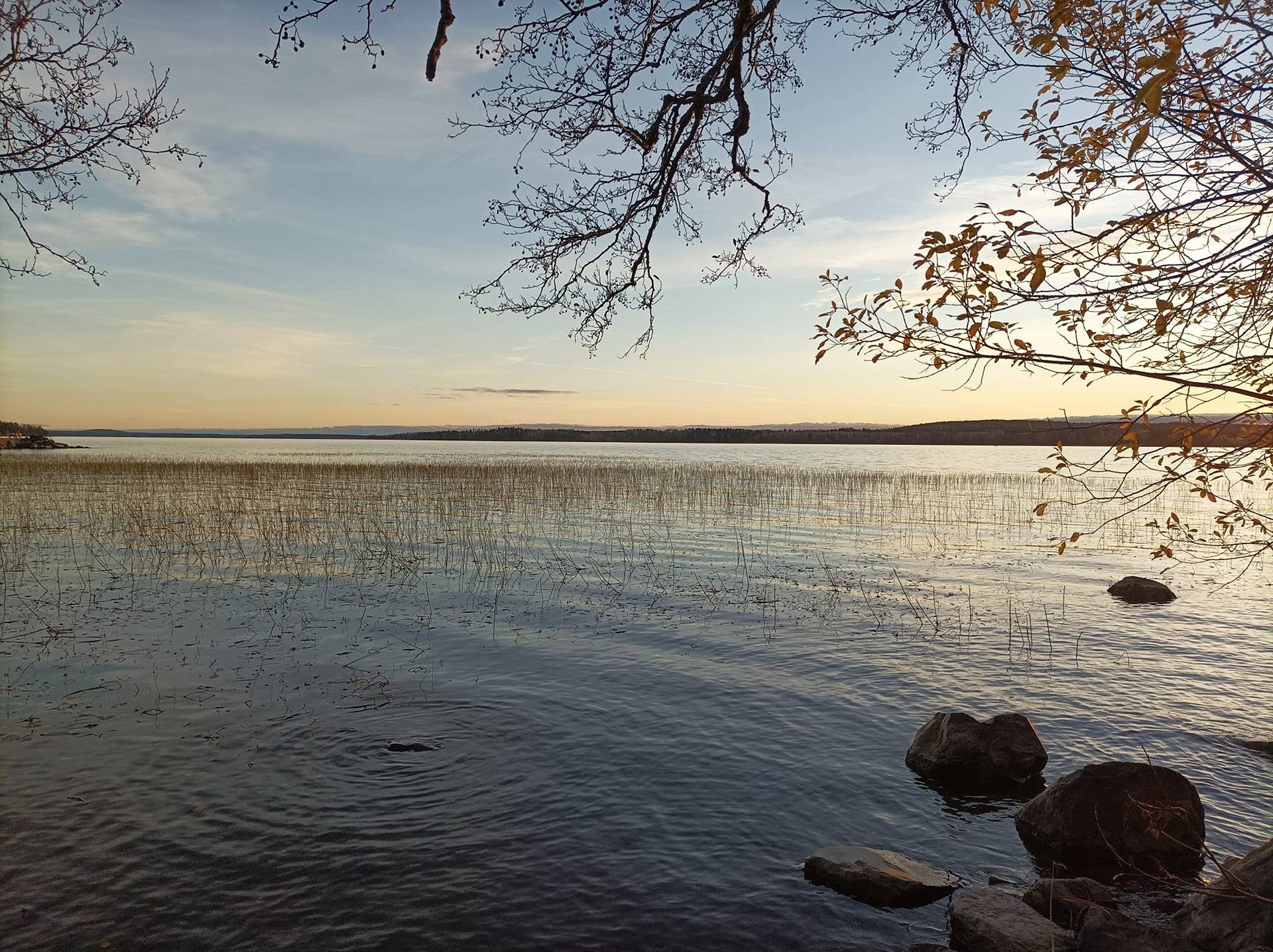 Orivesi, Pajukanta, mökkitontti Längelmäveden rannalta 1