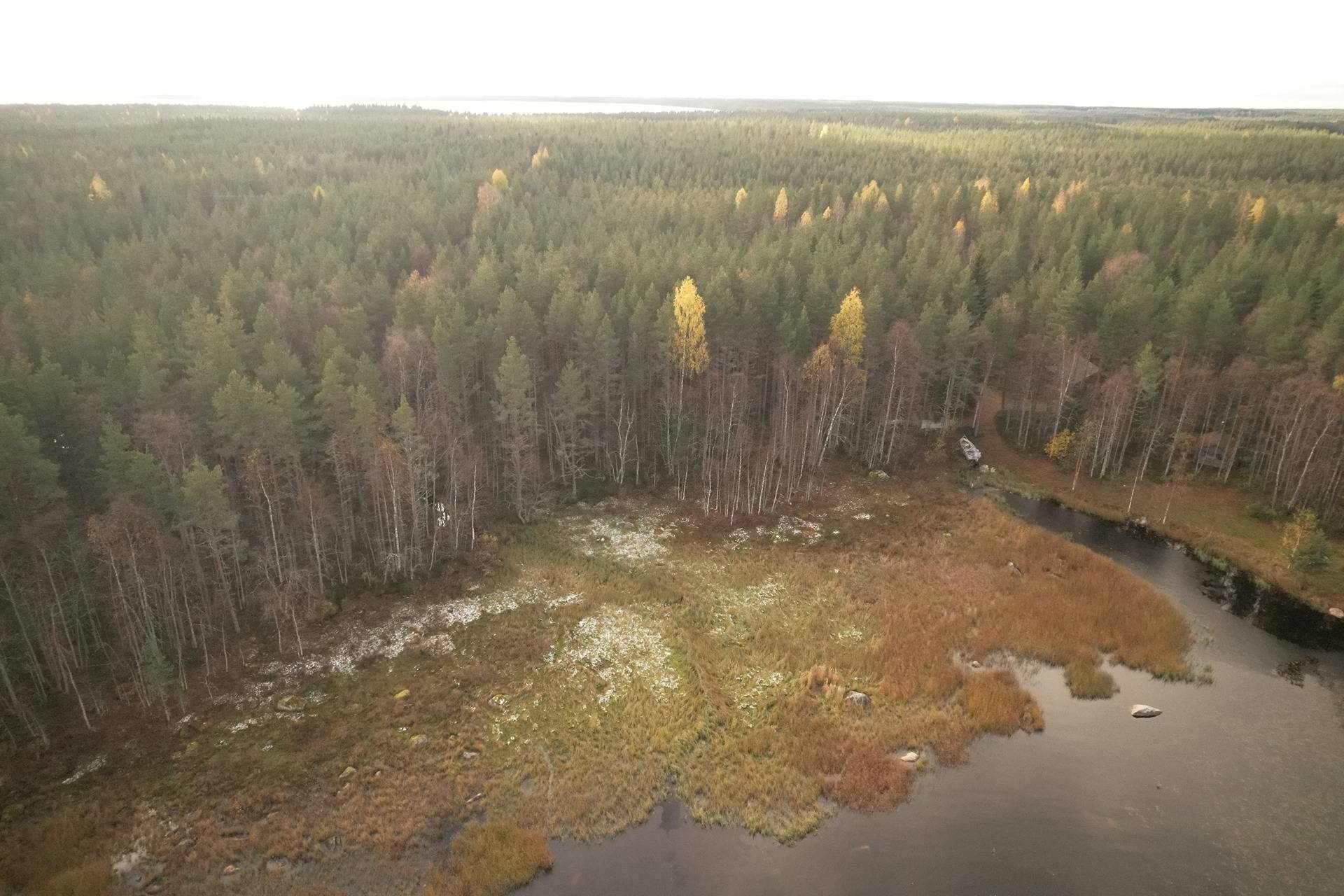 JÄRVENTAKANEN 785-402-1-18 kaavarantatontti- ja metsämääräalakiinteistö Oulujärvellä n. 5km Vaalan kk:ltä 6