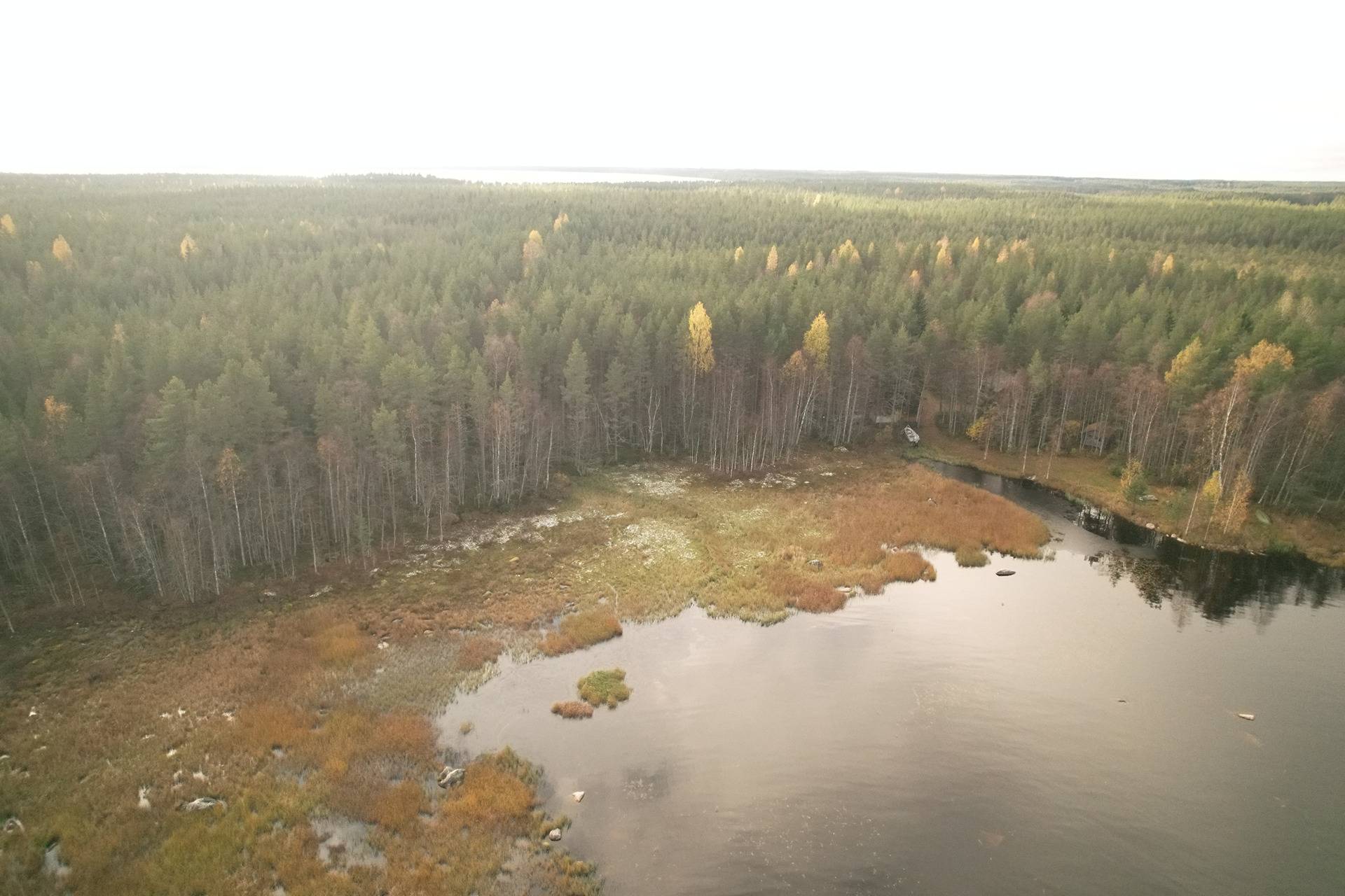 JÄRVENTAKANEN 785-402-1-18 kaavarantatontti- ja metsämääräalakiinteistö Oulujärvellä n. 5km Vaalan kk:ltä 7