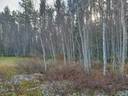 JÄRVENTAKANEN 785-402-1-18 kaavarantatontti- ja metsämääräalakiinteistö Oulujärvellä n. 5km Vaalan kk:ltä 16