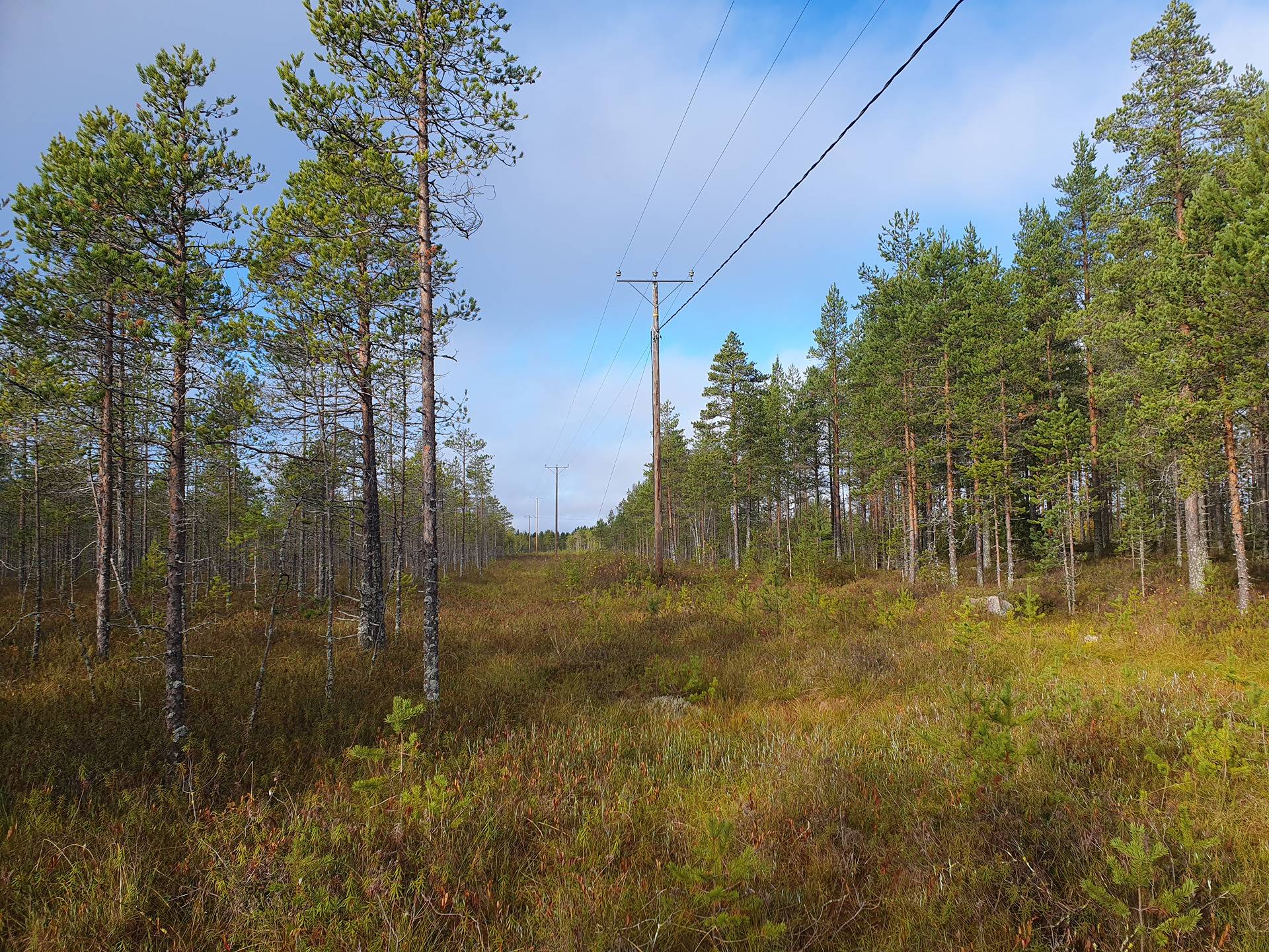 JÄRVENTAKANEN 785-402-1-18 kaavarantatontti- ja metsämääräalakiinteistö Oulujärvellä n. 5km Vaalan kk:ltä 23