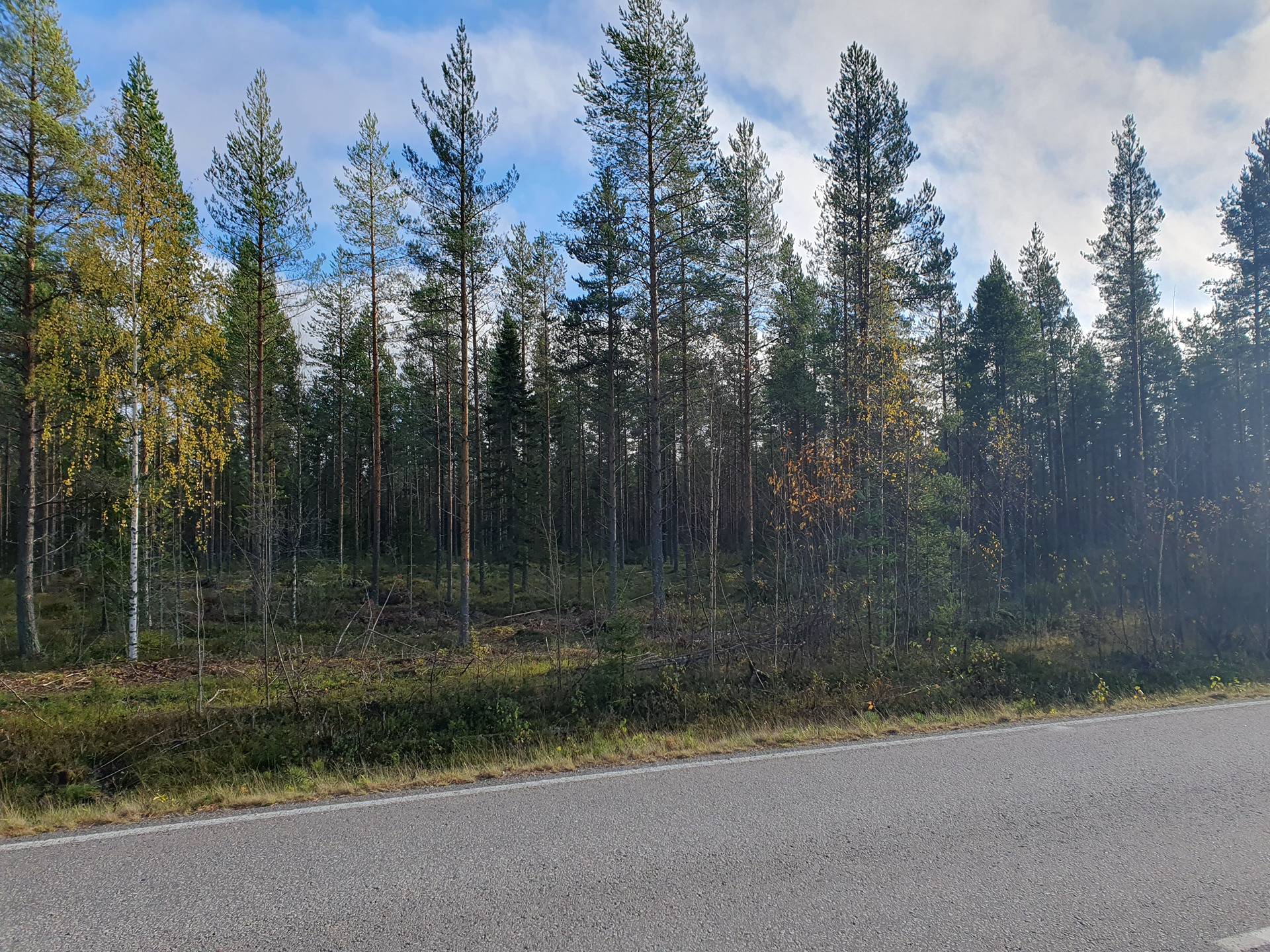 JÄRVENTAKANEN 785-402-1-18 kaavarantatontti- ja metsämääräalakiinteistö Oulujärvellä n. 5km Vaalan kk:ltä 24