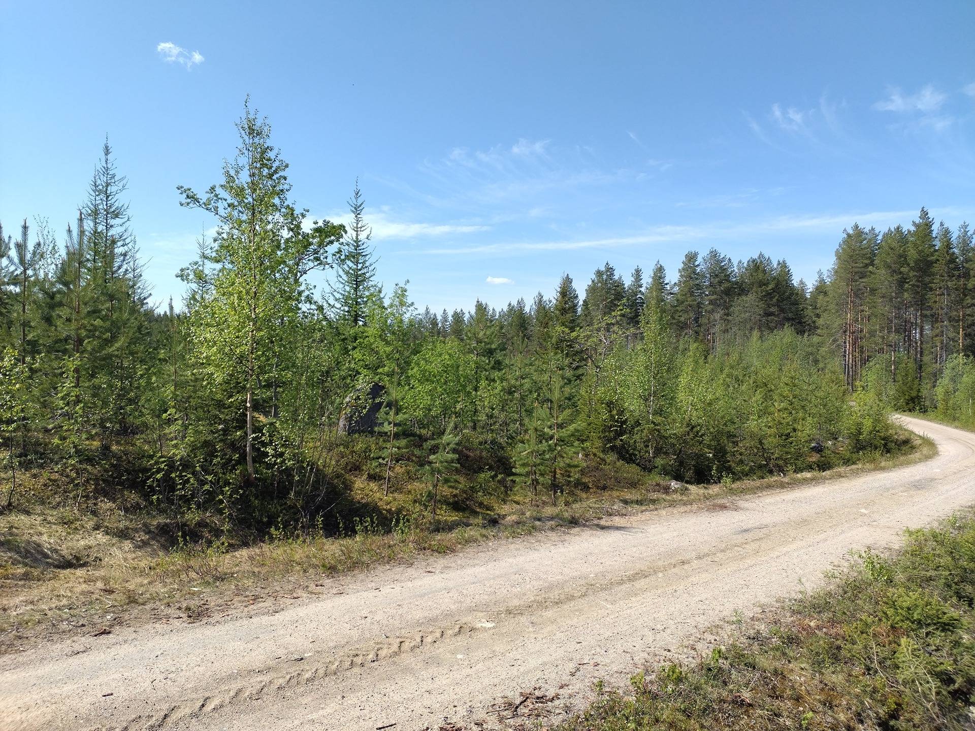 MÄENPÄÄ II 911-403-2-7, Halmejärvi 10