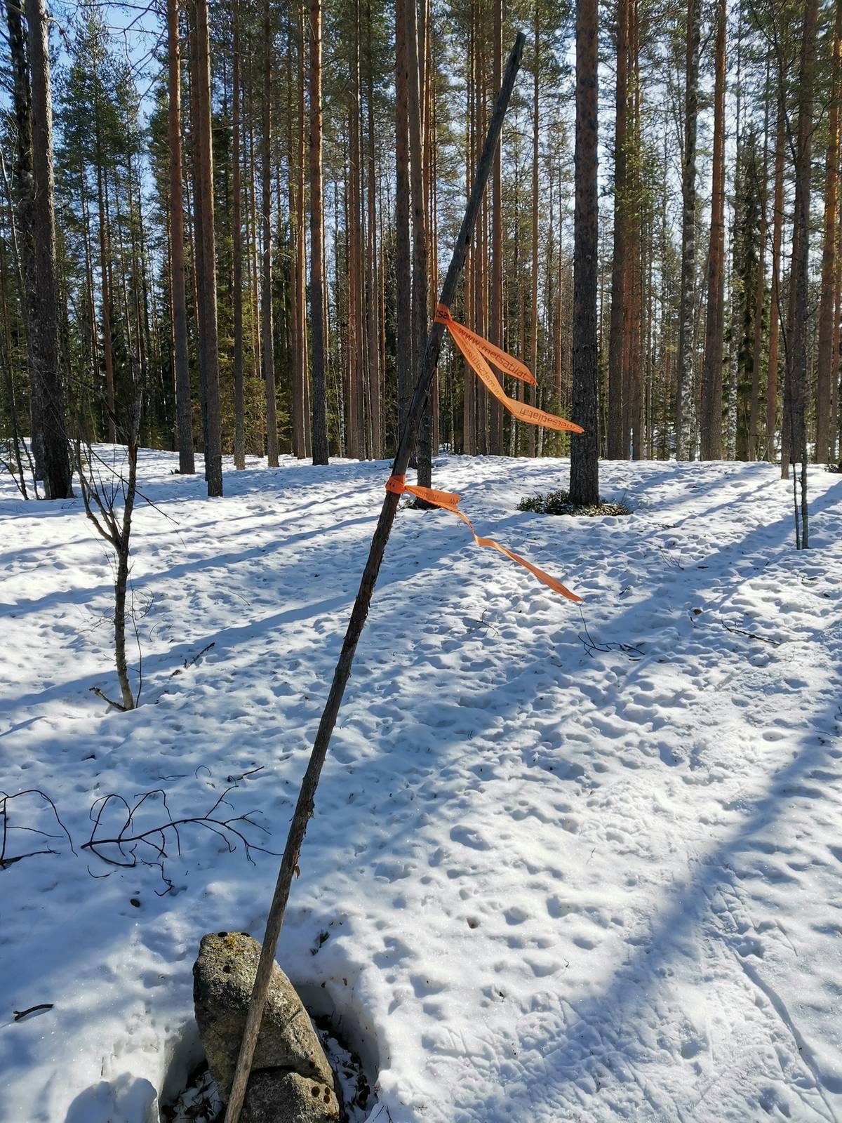 Omslagsbild för objektet MÄENPÄÄ II 911-403-2-7, Halmejärvi