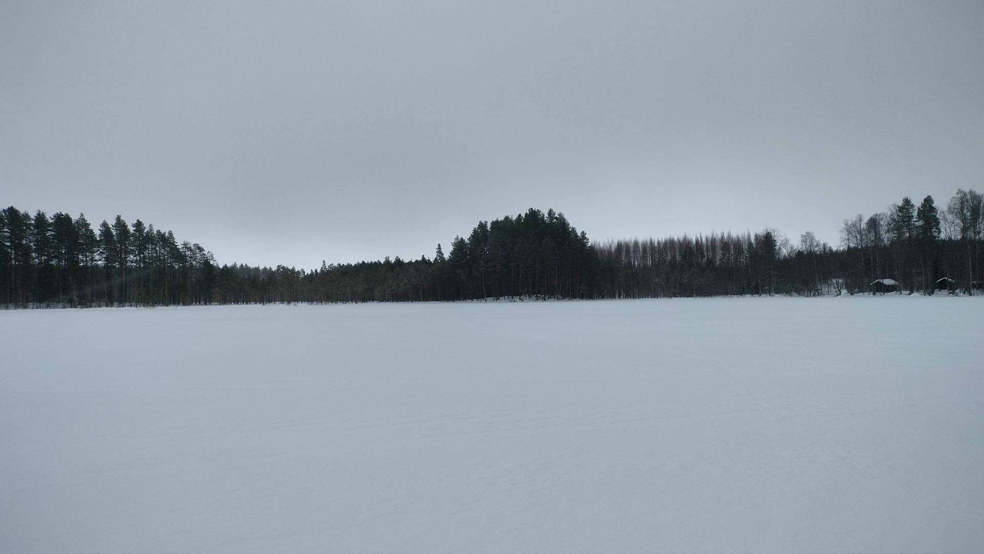 Cover photo for the object KÄRÄNKÄLAMPI V/4, 422-411-4-100, Koli