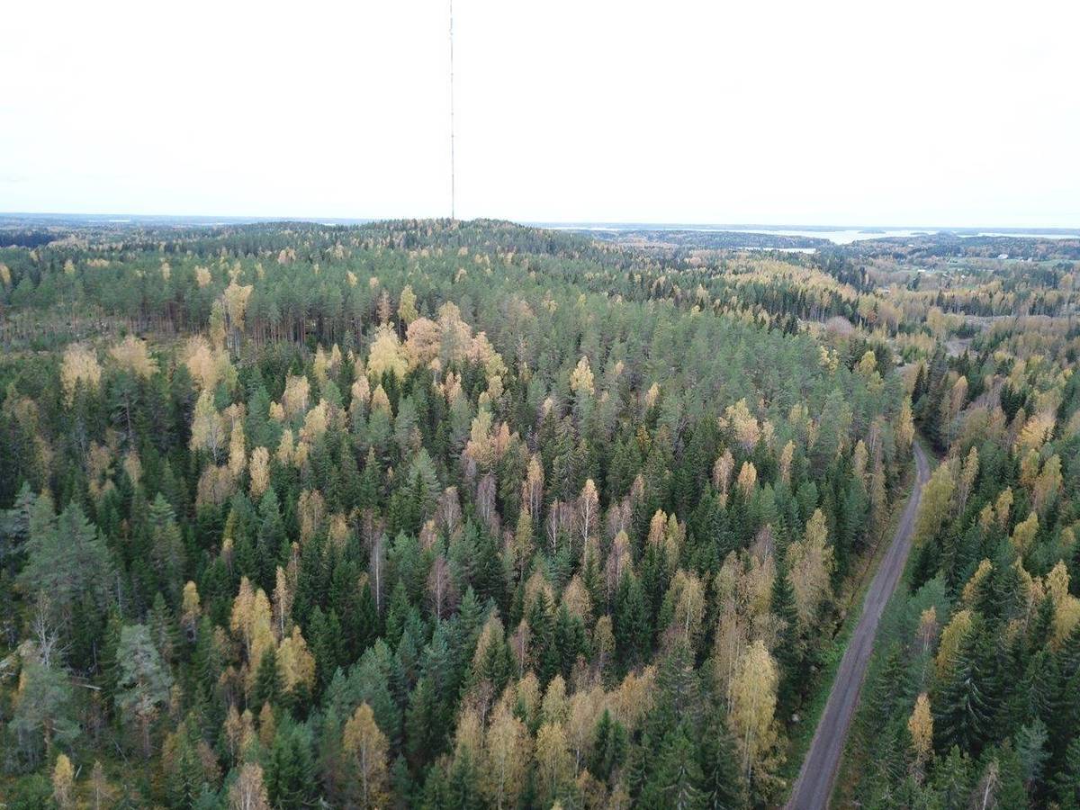 Omslagsbild för objektet Tampere, Teisko, Neevuori/Kirkonseutu, Seppälä