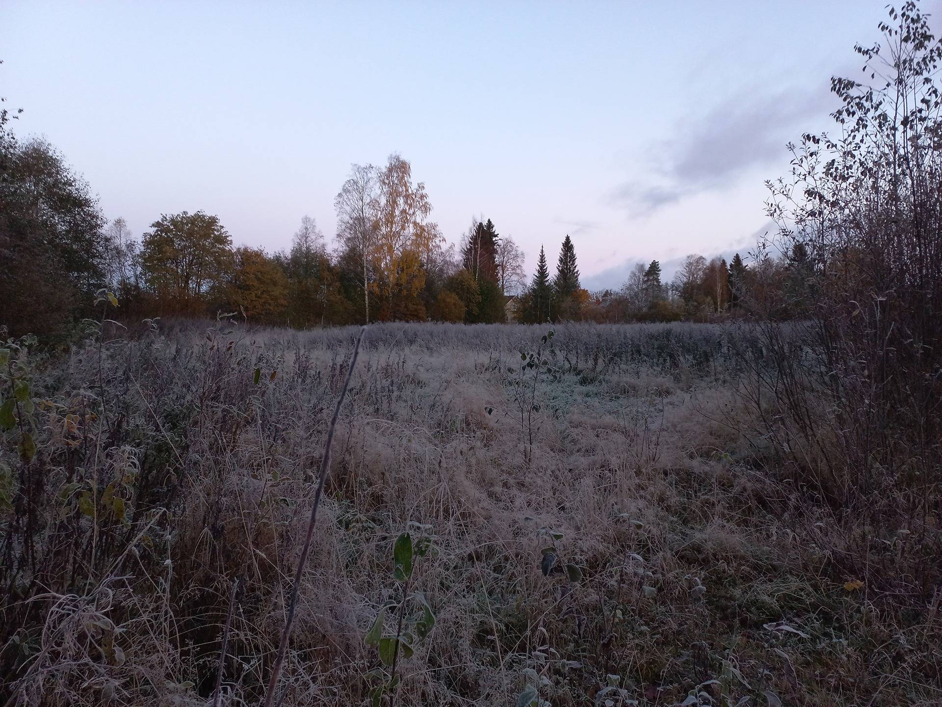 Jalasjärvi Koivuniemi 164-402-8-27 ja Lehtiniemi 164-402-8-28 3