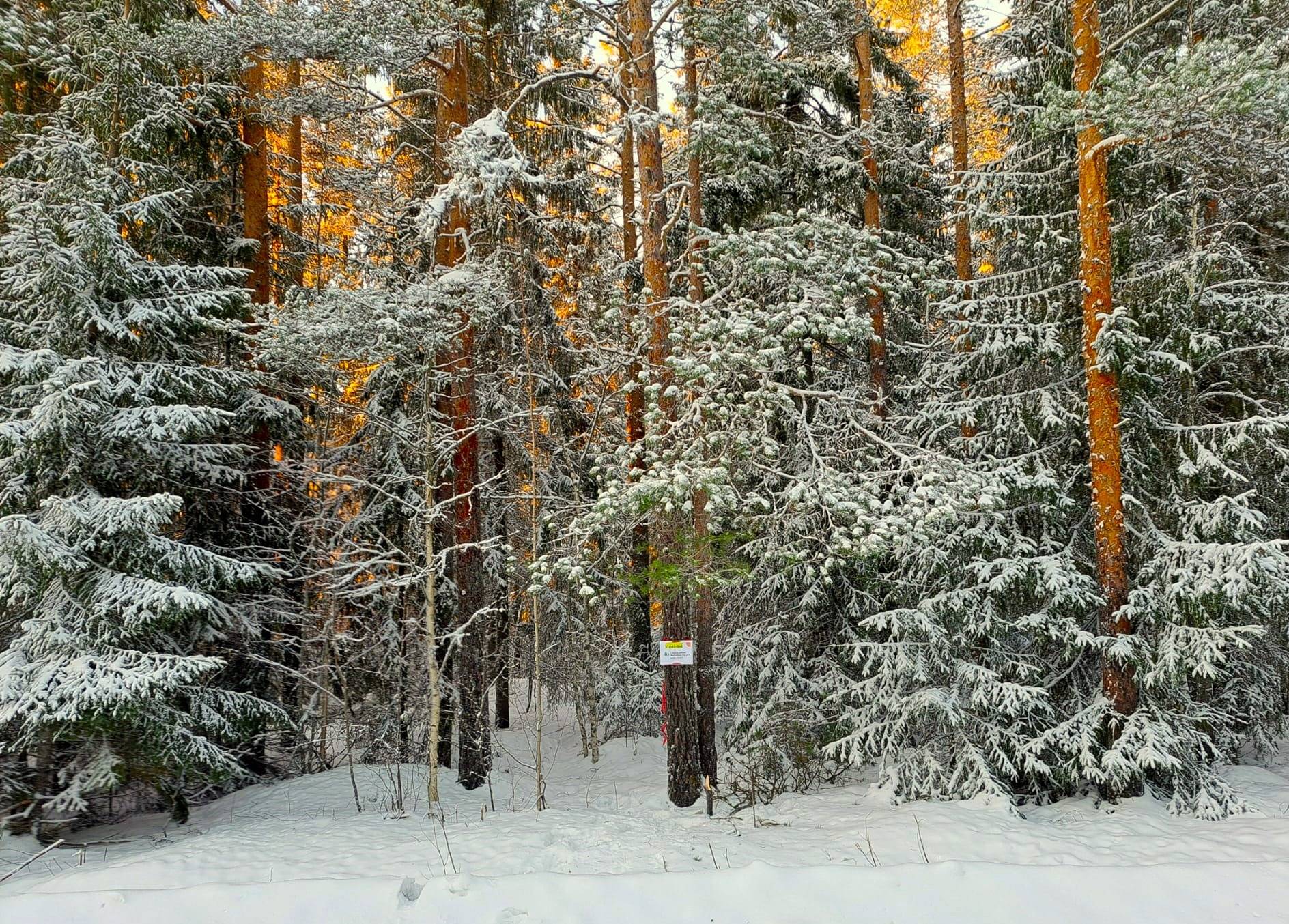 Kauhava/Kortesjärvi VÄLIKOSKI 18:53 metsätila 6,779 ha 1