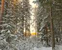 Kauhava/Kortesjärvi VÄLIKOSKI 18:53 metsätila 6,779 ha 4