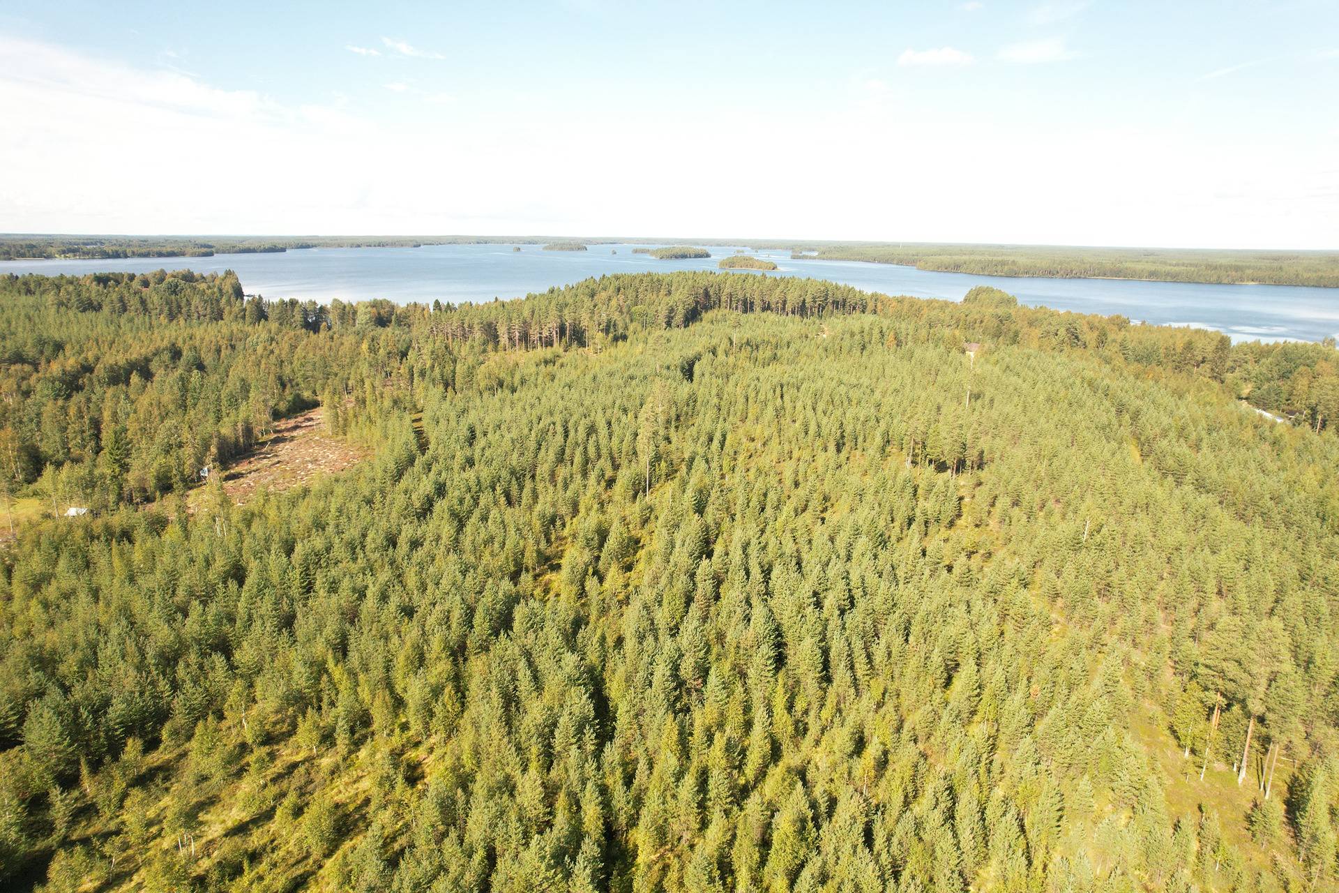 SIERAKANGAS 785-401-5-101, 27,07 ha  metsäkiinteistö Jaalangassa Oulujärven Itärannalla n. 21 km Vaalan taajamasta. 4