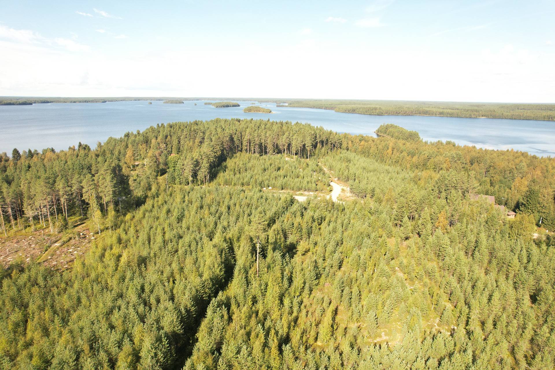 SIERAKANGAS 785-401-5-101, 27,07 ha  metsäkiinteistö Jaalangassa Oulujärven Itärannalla n. 21 km Vaalan taajamasta. 5