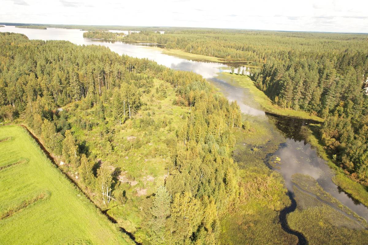 Kansikuva kohteelle SIERAKANGAS 785-401-5-101, 27,07 ha  metsäkiinteistö Jaalangassa Oulujärven Itärannalla n. 21 km Vaalan taajamasta.