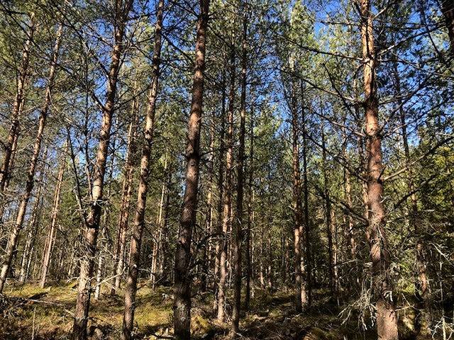 285-422-2-226 PASI, 285-422-2-20 puol.lait. 285-422-2-238 PETTERI 1