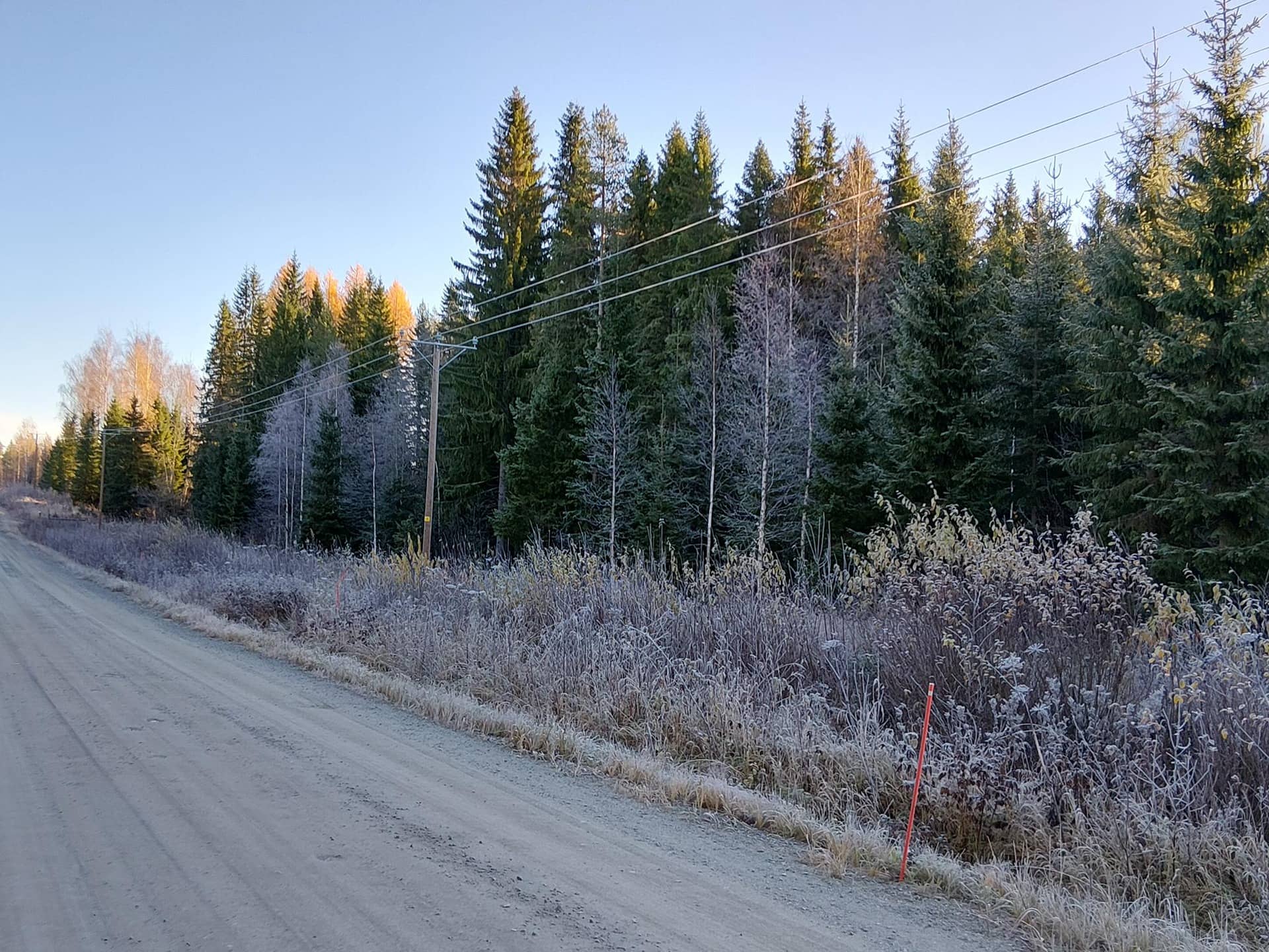 NISKA-AHO 38:81 ja RUOTSI 38:38, Kiukonmäki 1