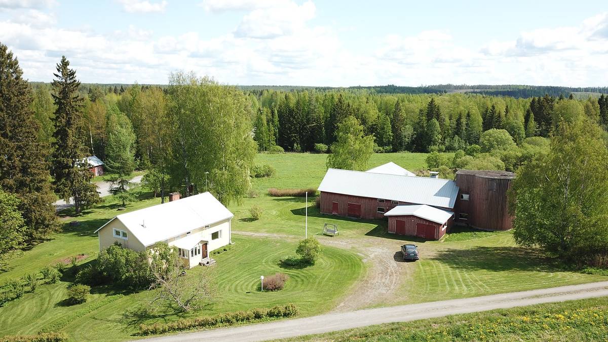 Cover photo for the object Kotipelto 844-408-3-37