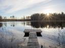 Alamaa 739-439-11-0, määräala 1