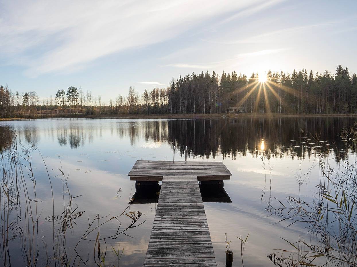 Cover photo for the object Alamaa 739-439-11-0, määräala