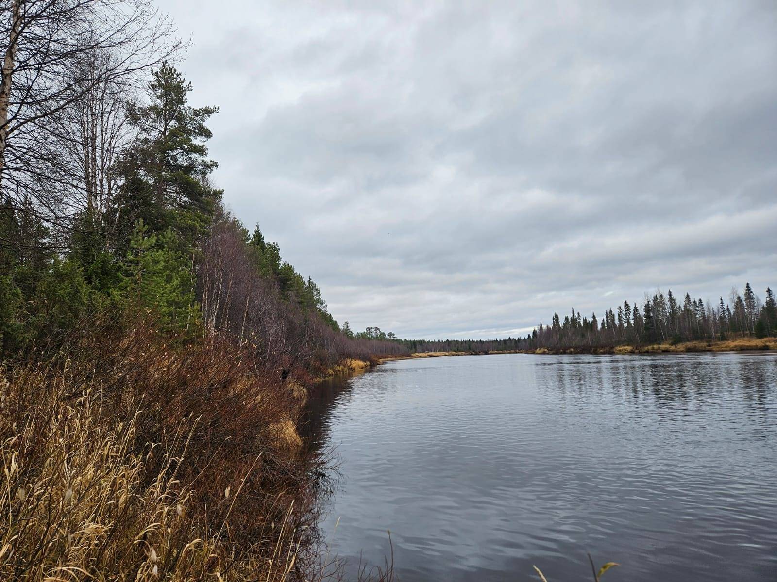 Pieliniemi 742-401-20-18 1