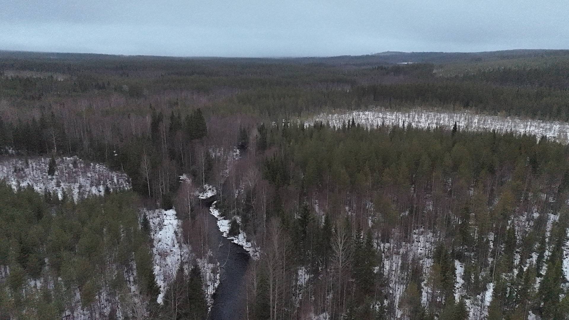 PUTIKKA 620-402-10-54 n.18,64 ha n. 33 km Puolangan kk:ltä Askankylässä 1