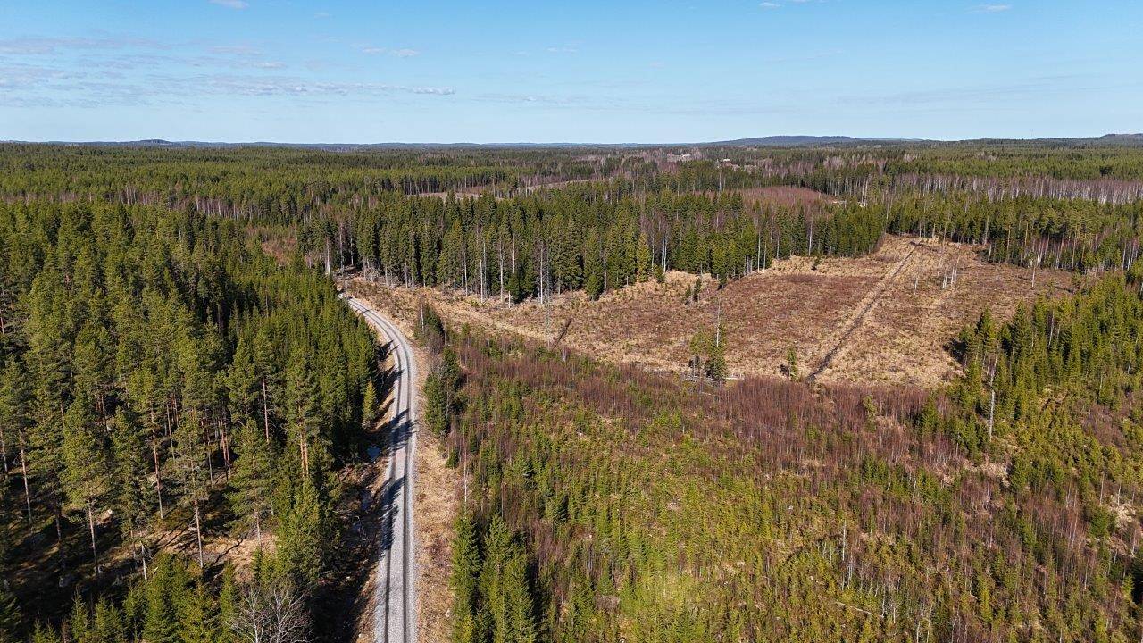 Jämsä, Kuorevesi, Myllykylä, metsämääräala Valkkinen 1