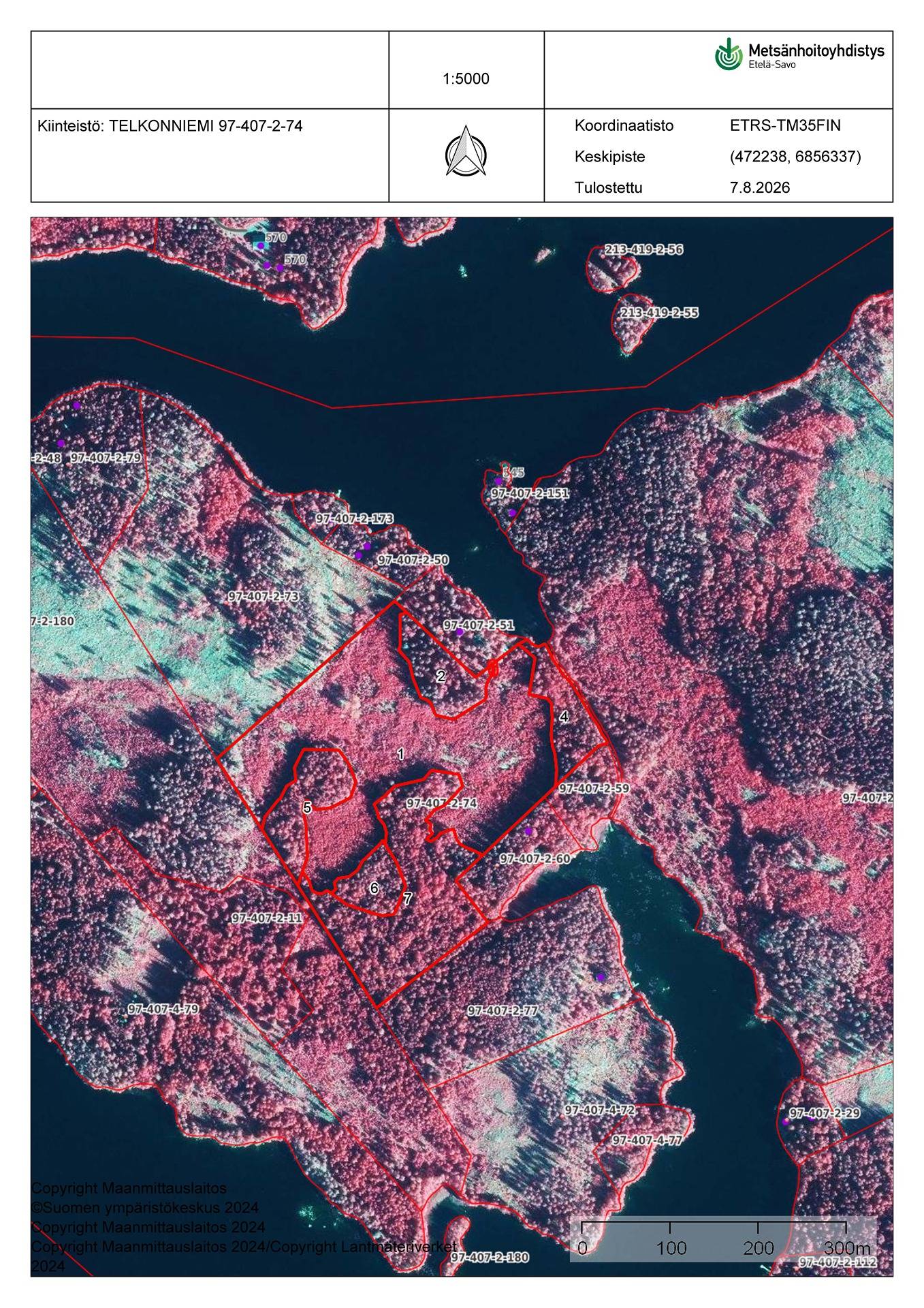 Hirvensalmi Saari-Kuitunen, Telkonniemi 2:74, 10,389 ha 1
