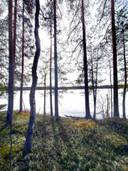 Tontit Kuopio Airaksela 1