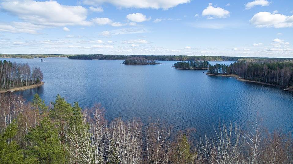 Huoleton 739-427-1-138, määräala 1