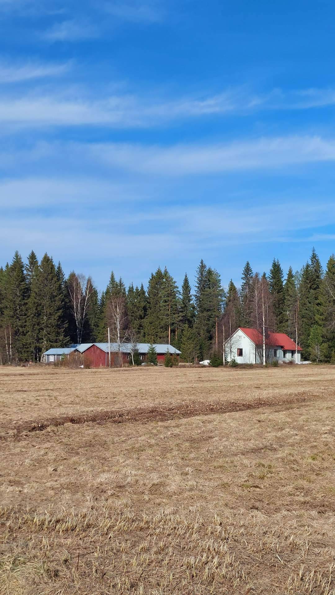 Kansikuva kohteelle Kangas 751-404-36-0 määräala