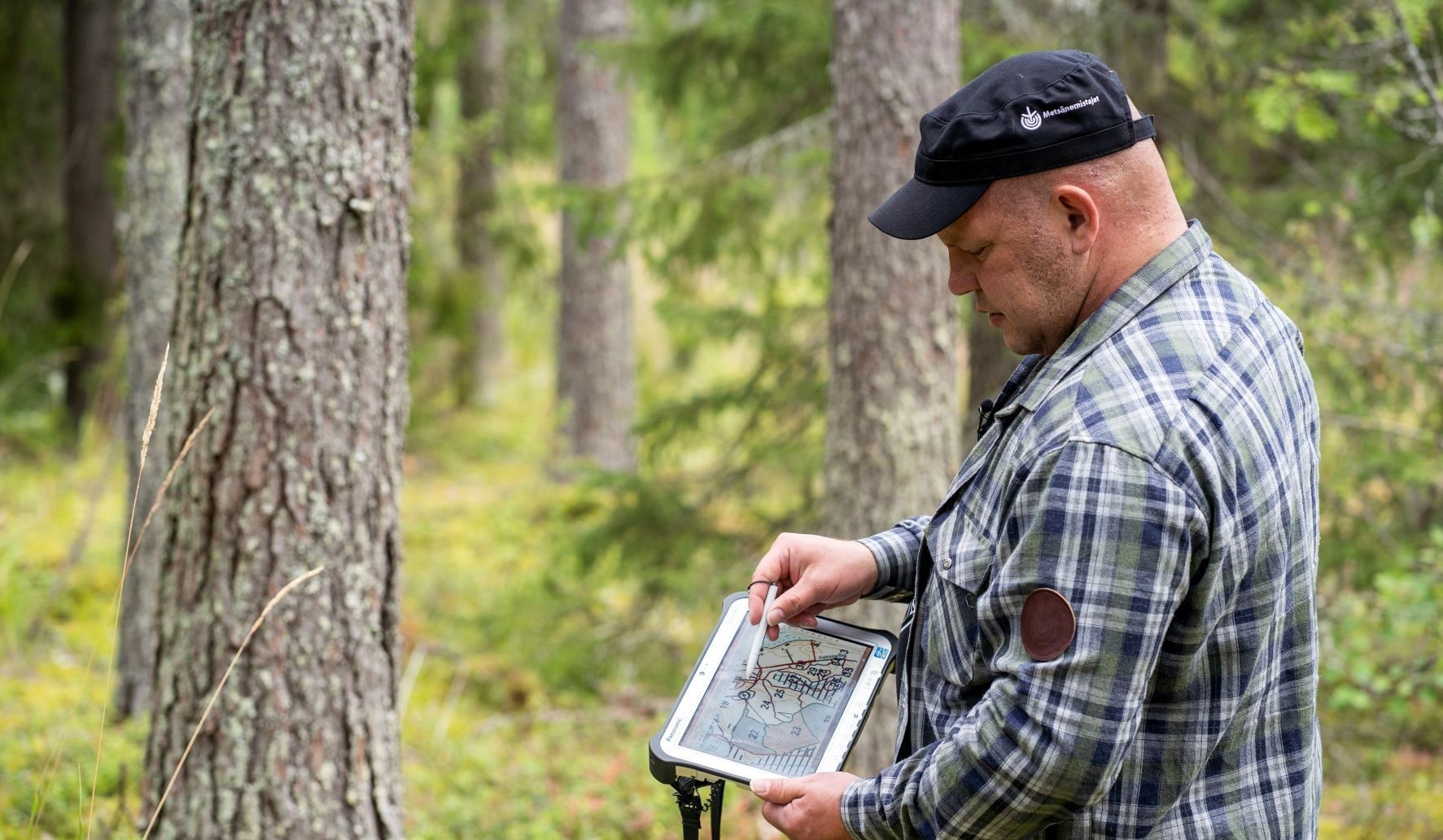 Ammattilaisen tekemä arvio on metsäarvio